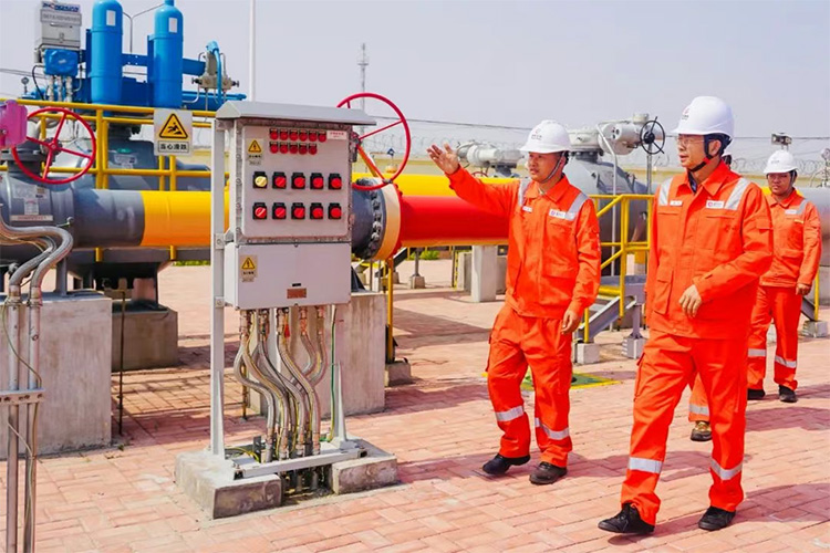 1748567776127120.jpg 4.jpg