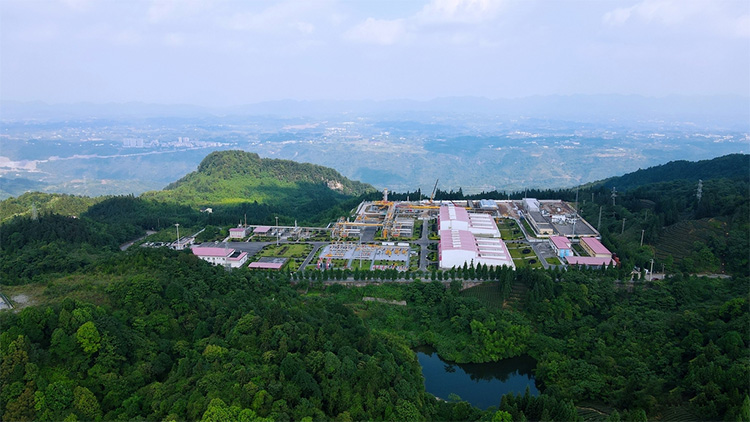 1749523602682352.jpg 9.jpg