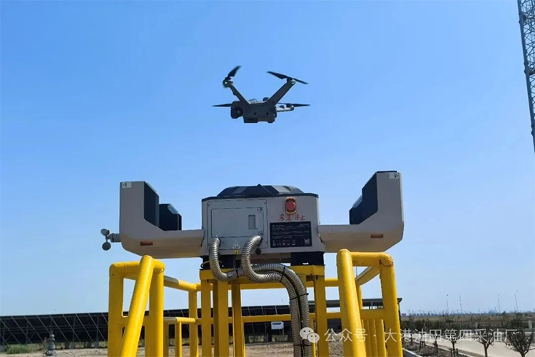 1749800193437259.jpg 5.jpg